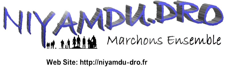 NIYAMDU.DRO