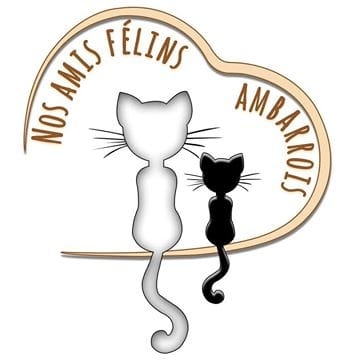 NOS AMIS FELINS AMBARROIS