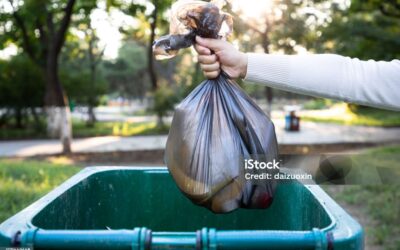 Pensez à rentrer vos poubelles