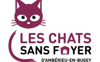 Devenez bénévole au sein de l’association « Les chats sans foyer d’Ambérieu en Bugey »