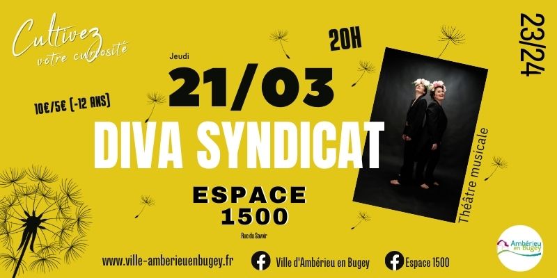 DIVA SYNDICAT
