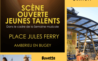 Festy Summer – Recherche de jeunes talents