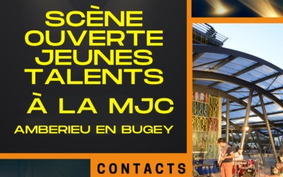 Festy Summer – Recherche de jeunes talents