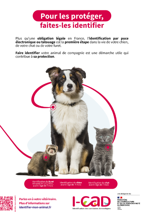 Pour les protéger, faites-les identifier