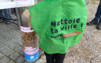 Nettoie ta Ville, un bilan qui justifie l’existence du projet !