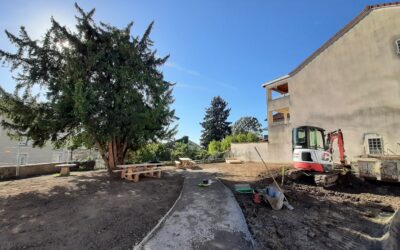 Travaux au Jardin Henri Cattin : Avancées et nouveautés