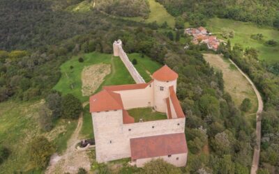 L’association des amis du château des Allymes et de René de Lucinge recherche des bénévoles