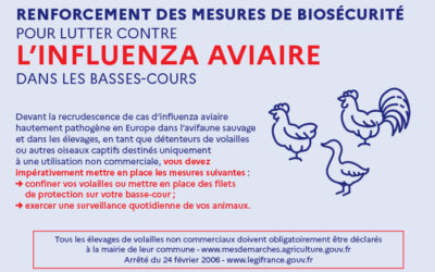 Influenza aviaire hautement pathogène – 1ère détection dans l’Ain sur la faune sauvage