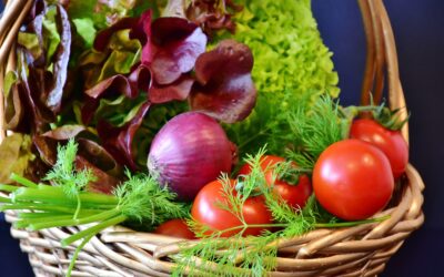 Vous souhaitez découvrir ou retrouver les joies du jardinage ?