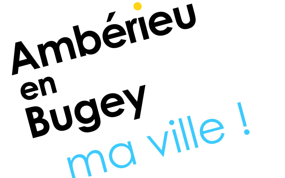 Vidéos Conseils Municipaux – 2023-2024-2025
