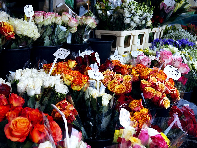 MARCHÉ AUX FLEURS