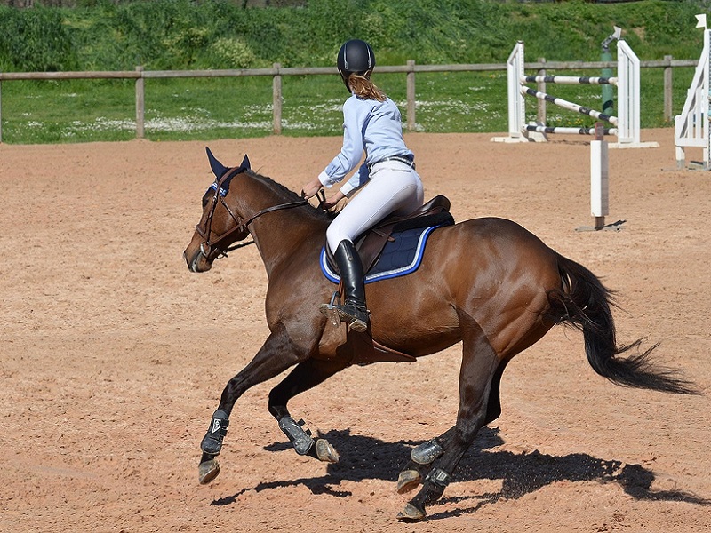 CONCOURS INTERNE SAUTS D'OBSTACLES