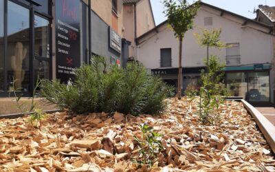 Un parking végétalisé, une ville plus fraîche !