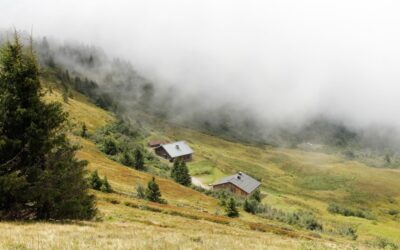 Exposition : photographies de Marion Chovet