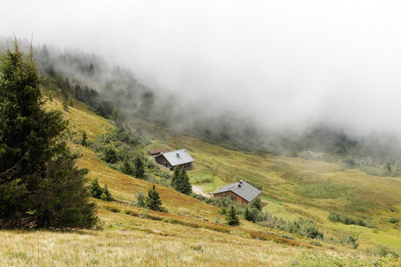 EXPOSITION : PHOTOGRAPHIES DE MARION CHOVET