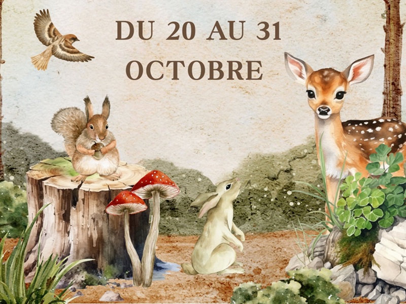 ACTI'VACANCES - AU CŒUR DES FORÊTS
