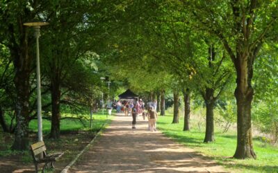 Animations de Quartiers / Retour sur « Ça Bouge ! » au parc du Grand Dunois