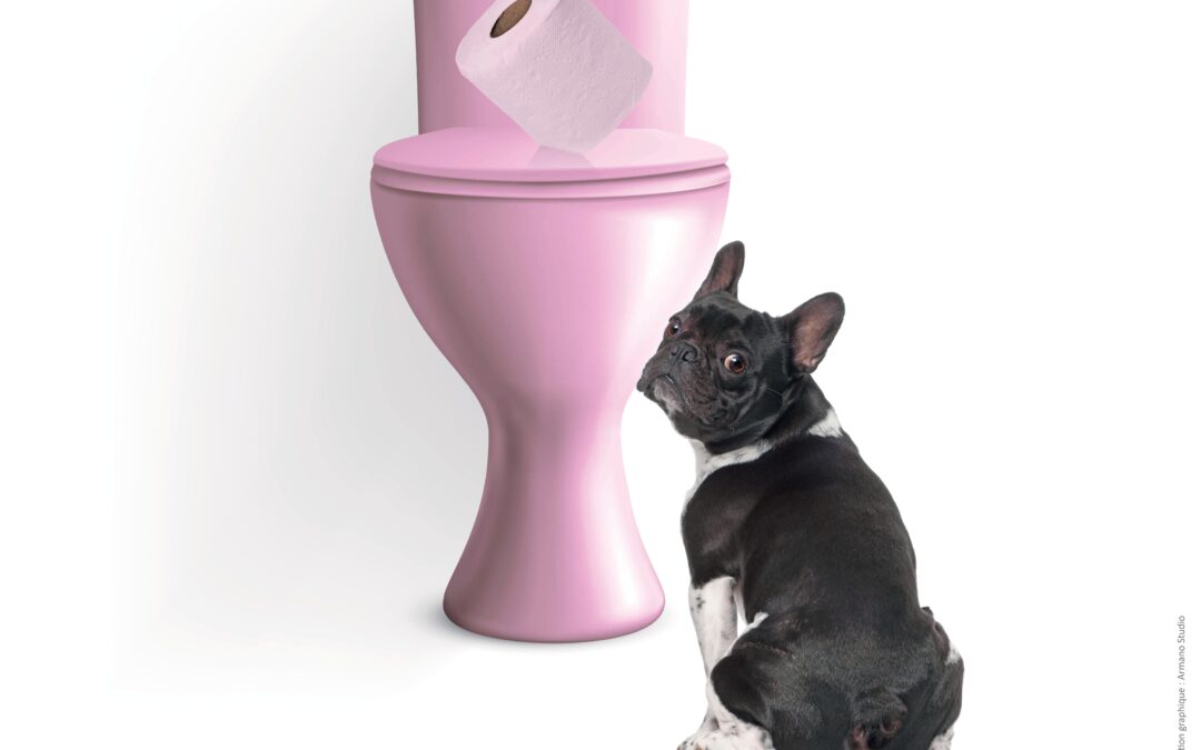 TELECHARGEMENT AFFICHES INCIVILITES