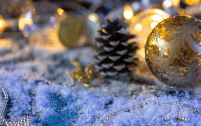 MARCHES DE NOËL, ILLUMINATIONS ET AUTRES ANIMATIONS