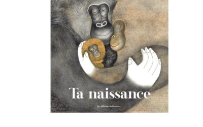 Coups de cœur albums jeunesse – novembre 2025