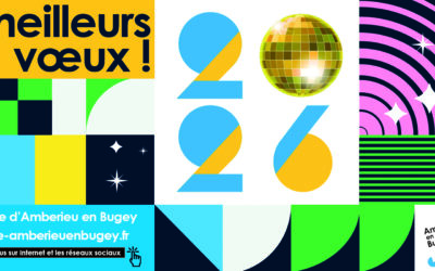 MEILLEURS VOEUX 2026