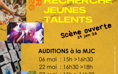 Infos et auditions pour le Festy Summer 2026 !