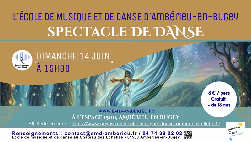SPECTACLE DE DANSE