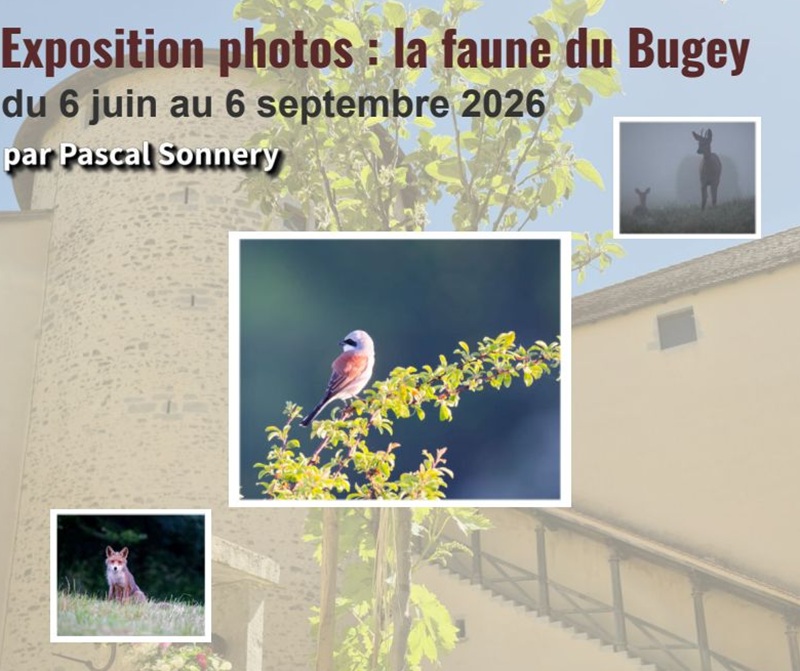 EXPOSITION PHOTOS