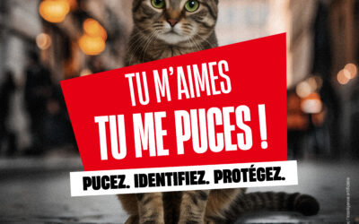 SEMAINE NATIONALE DE L’IDENTIFICATION DES CHIENS et CHATS