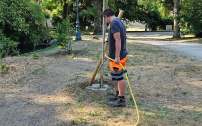 Arrosage des plantations : quelques conseils