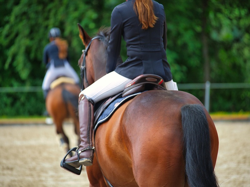 CONCOURS INTERNE HUNTER